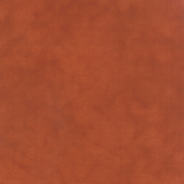 Moda Fabric 1040 47