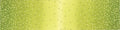 108 Inch Quilt Back Ombre Confetti Lime Green