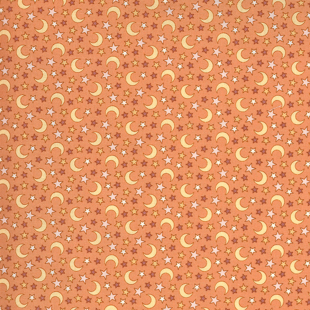 MODA 31173 13 Fabric