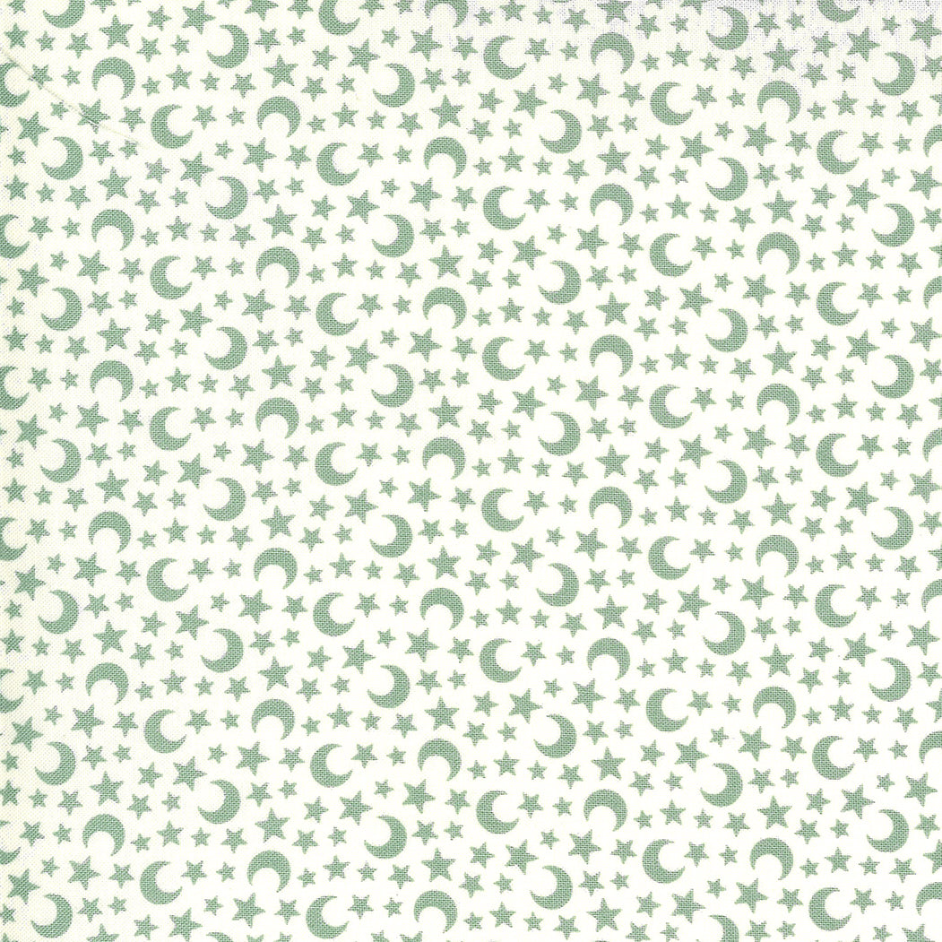 MODA 31173 21 Fabric