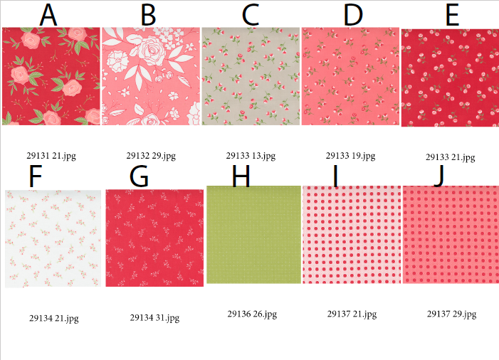 Posy Pops Quilt Kit